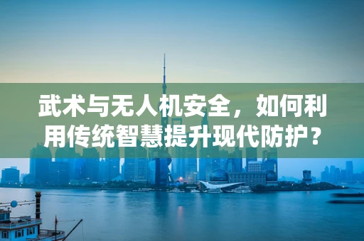 武术与无人机安全，如何利用传统智慧提升现代防护？