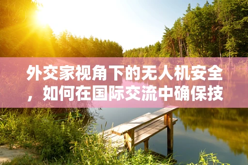 外交家视角下的无人机安全，如何在国际交流中确保技术边界不被侵犯？