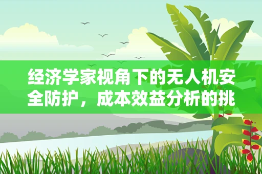 经济学家视角下的无人机安全防护，成本效益分析的挑战与机遇