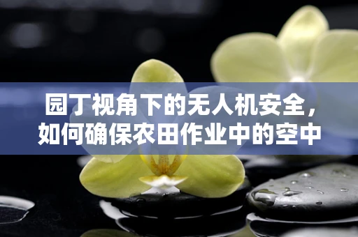 园丁视角下的无人机安全，如何确保农田作业中的空中守护者既高效又安全？