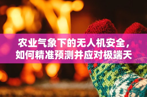 农业气象下的无人机安全，如何精准预测并应对极端天气？