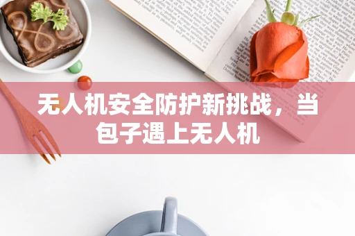 无人机安全防护新挑战，当包子遇上无人机