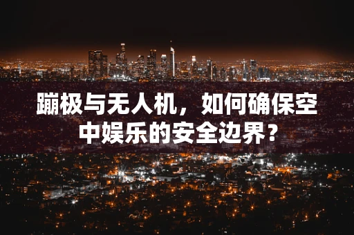 蹦极与无人机，如何确保空中娱乐的安全边界？