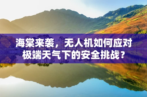 海棠来袭，无人机如何应对极端天气下的安全挑战？