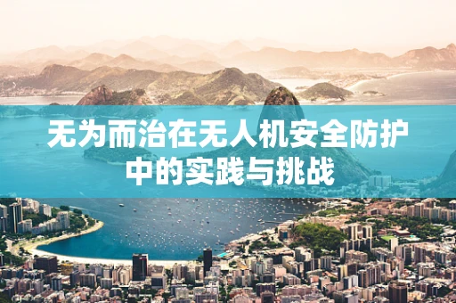 无为而治在无人机安全防护中的实践与挑战