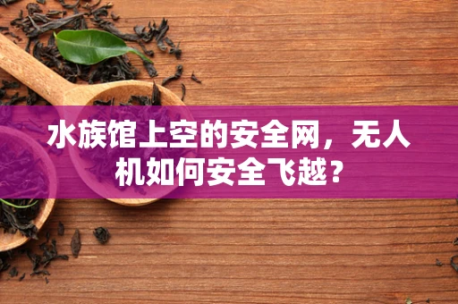 水族馆上空的安全网，无人机如何安全飞越？