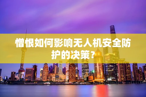 憎恨如何影响无人机安全防护的决策？