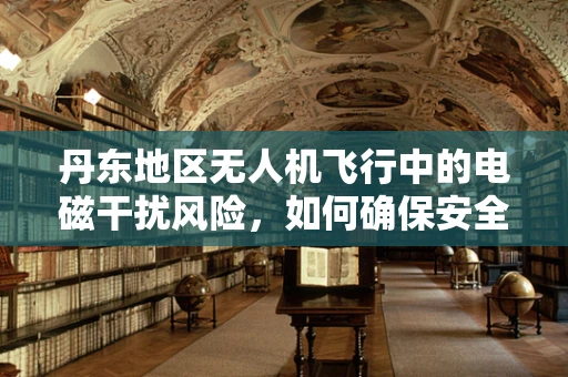 丹东地区无人机飞行中的电磁干扰风险，如何确保安全防护？