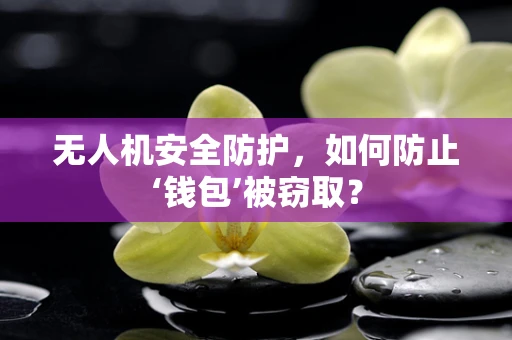 无人机安全防护，如何防止‘钱包’被窃取？