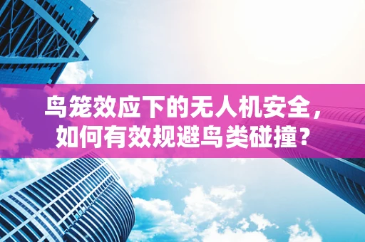鸟笼效应下的无人机安全，如何有效规避鸟类碰撞？