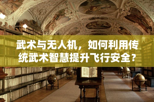 武术与无人机，如何利用传统武术智慧提升飞行安全？