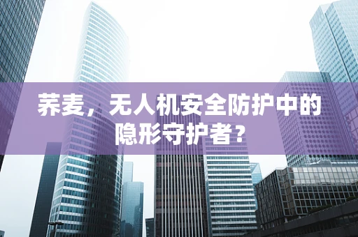 荞麦，无人机安全防护中的隐形守护者？