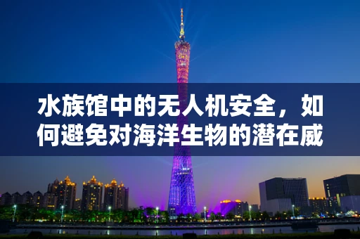 水族馆中的无人机安全，如何避免对海洋生物的潜在威胁？