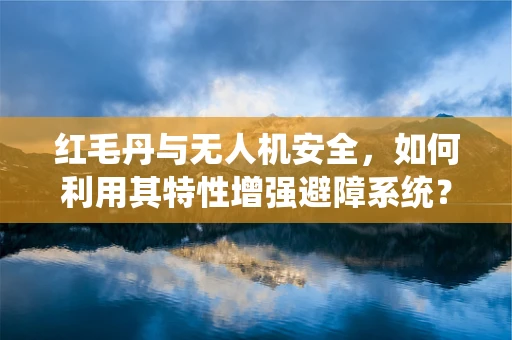 红毛丹与无人机安全，如何利用其特性增强避障系统？