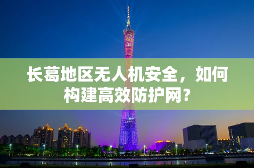 长葛地区无人机安全，如何构建高效防护网？