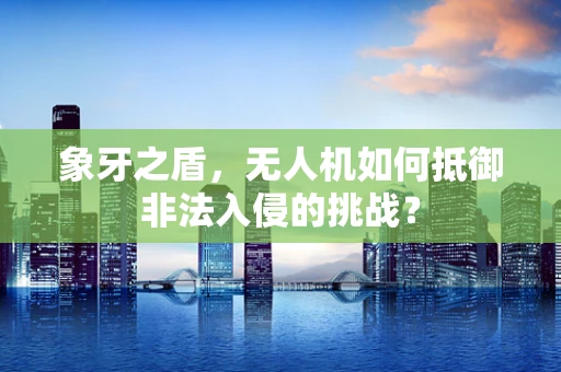 象牙之盾，无人机如何抵御非法入侵的挑战？