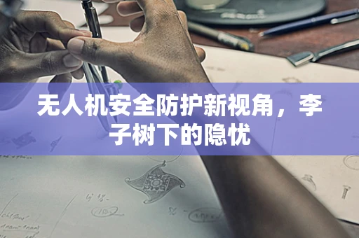 无人机安全防护新视角，李子树下的隐忧