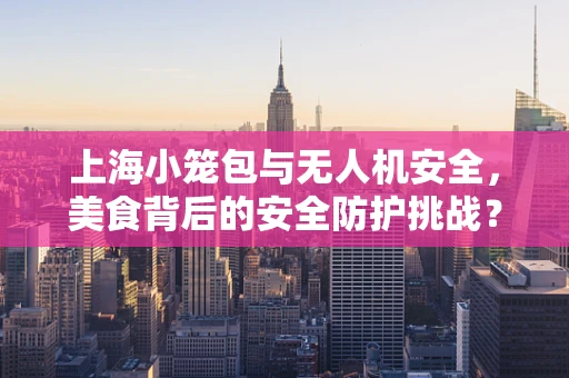 上海小笼包与无人机安全，美食背后的安全防护挑战？