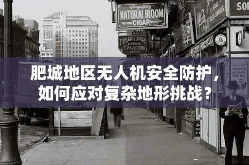 肥城地区无人机安全防护，如何应对复杂地形挑战？