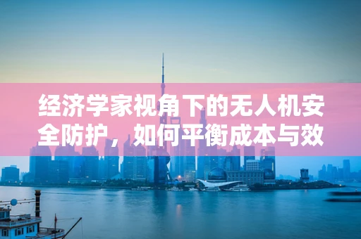 经济学家视角下的无人机安全防护，如何平衡成本与效益？