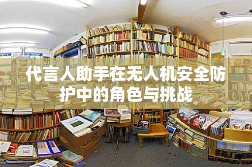 代言人助手在无人机安全防护中的角色与挑战