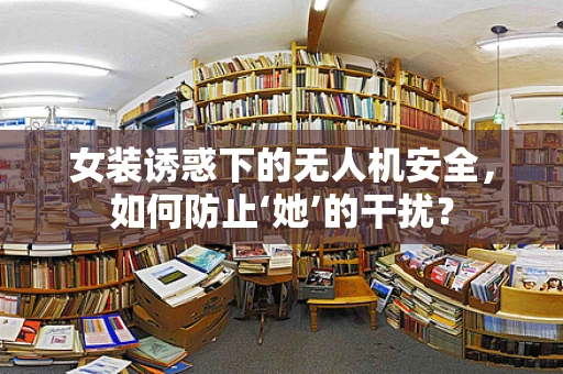 女装诱惑下的无人机安全，如何防止‘她’的干扰？