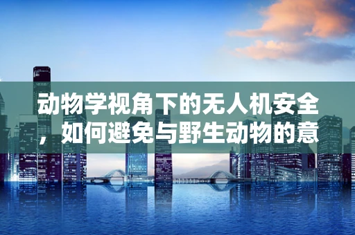 动物学视角下的无人机安全，如何避免与野生动物的意外碰撞？