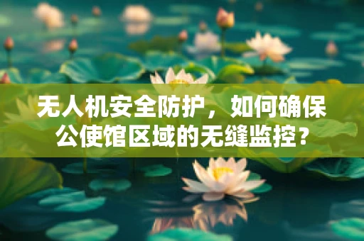 无人机安全防护，如何确保公使馆区域的无缝监控？