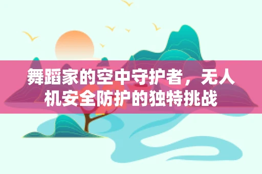 舞蹈家的空中守护者，无人机安全防护的独特挑战
