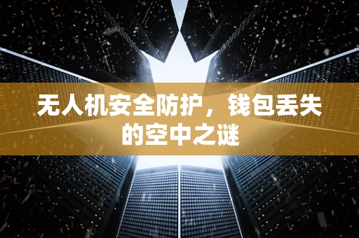 无人机安全防护，钱包丢失的空中之谜