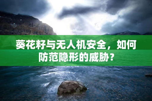 葵花籽与无人机安全，如何防范隐形的威胁？