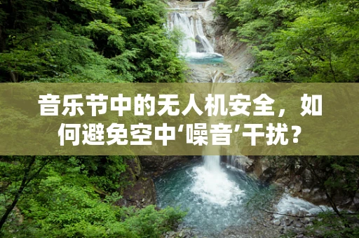 音乐节中的无人机安全，如何避免空中‘噪音’干扰？