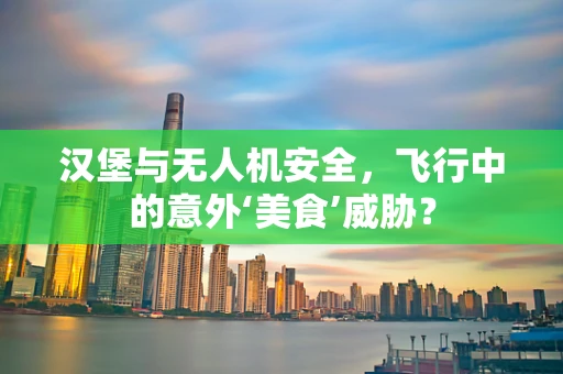 汉堡与无人机安全，飞行中的意外‘美食’威胁？