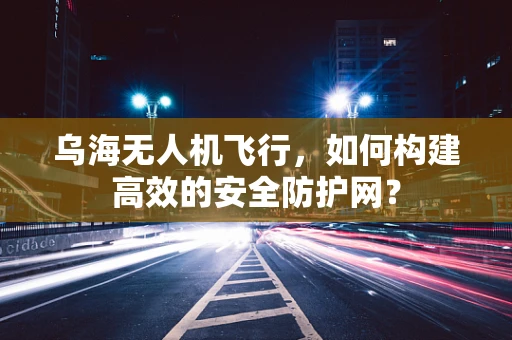 乌海无人机飞行，如何构建高效的安全防护网？