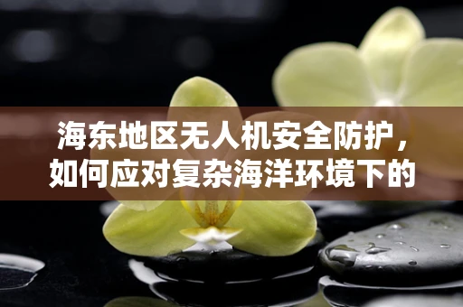 海东地区无人机安全防护，如何应对复杂海洋环境下的挑战？