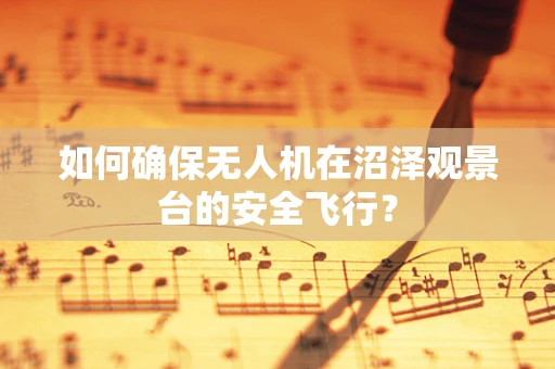 如何确保无人机在沼泽观景台的安全飞行？