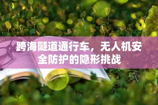 跨海隧道通行车，无人机安全防护的隐形挑战