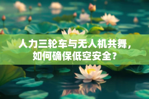 人力三轮车与无人机共舞，如何确保低空安全？
