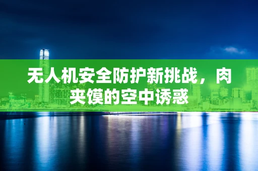 无人机安全防护新挑战，肉夹馍的空中诱惑