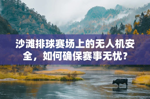 沙滩排球赛场上的无人机安全，如何确保赛事无忧？