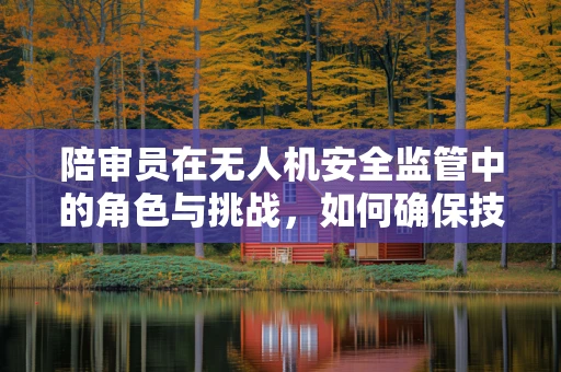 陪审员在无人机安全监管中的角色与挑战，如何确保技术决策的公正性？