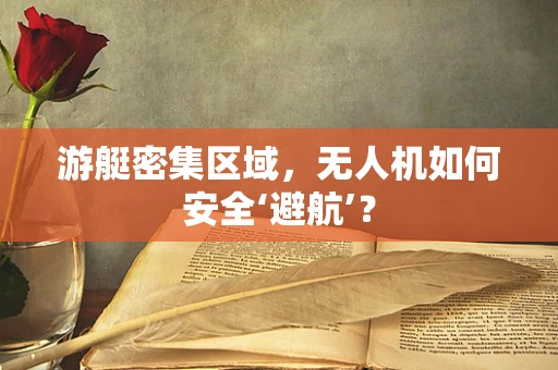 游艇密集区域，无人机如何安全‘避航’？