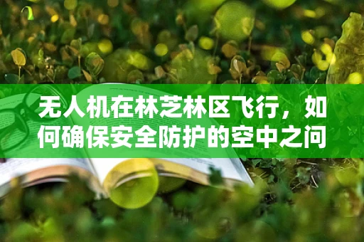 无人机在林芝林区飞行，如何确保安全防护的空中之问？