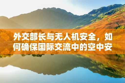 外交部长与无人机安全，如何确保国际交流中的空中安全？