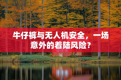 牛仔裤与无人机安全，一场意外的着陆风险？