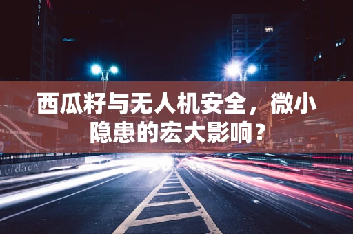 西瓜籽与无人机安全，微小隐患的宏大影响？