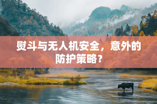 熨斗与无人机安全，意外的防护策略？