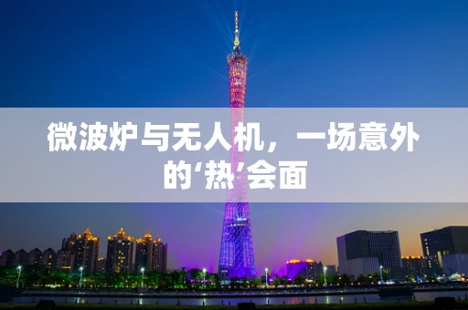 微波炉与无人机，一场意外的‘热’会面