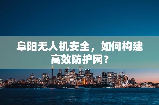 阜阳无人机安全，如何构建高效防护网？