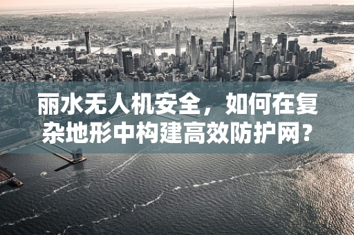 丽水无人机安全，如何在复杂地形中构建高效防护网？